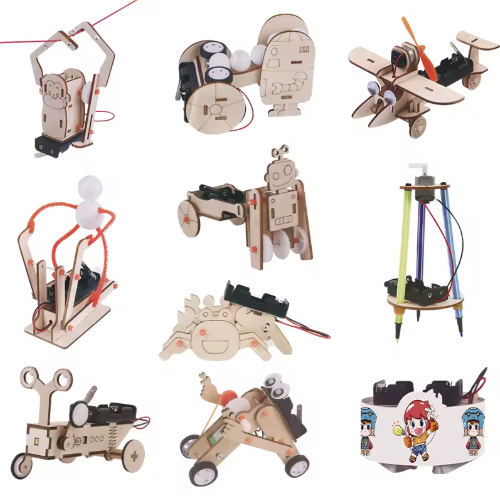 10 in 1 Wooden STEM Kit