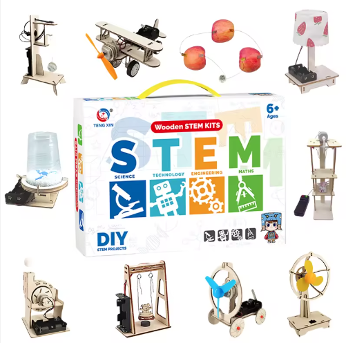 10 in 1 Wooden STEM Kit