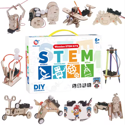 10 in 1 Wooden STEM Kit