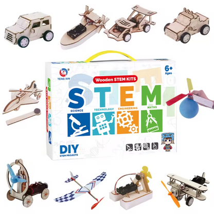 10 in 1 Wooden STEM Kit
