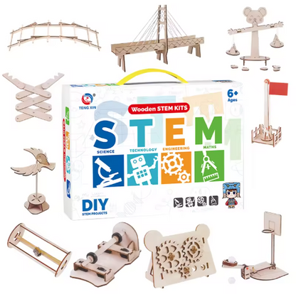 10 in 1 Wooden STEM Kit