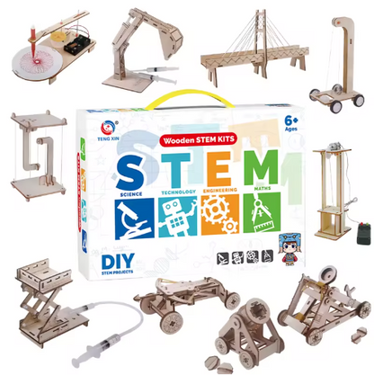 10 in 1 Wooden STEM Kit